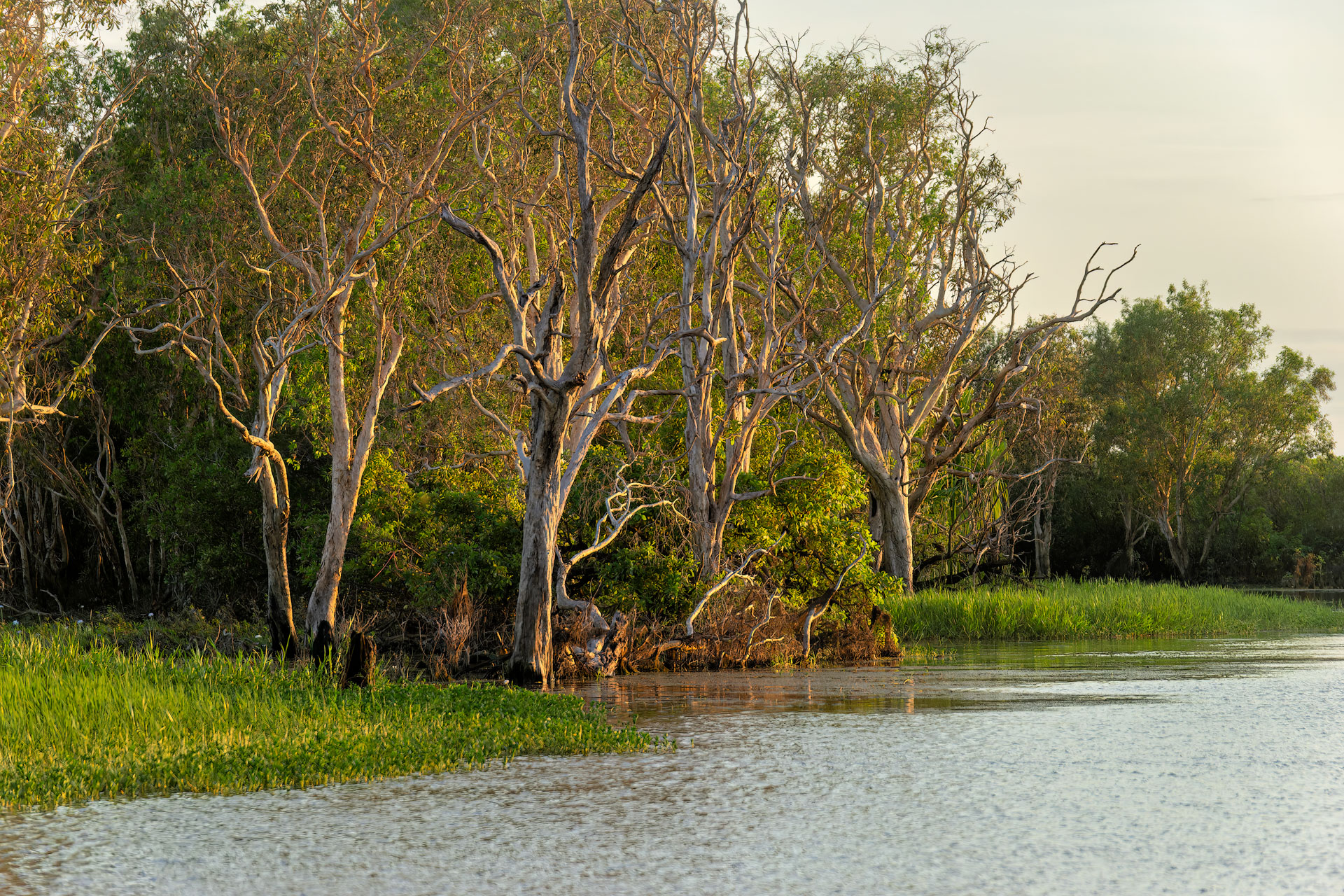 Kakadu National Park - Bootstour im Yellow Water Billabong